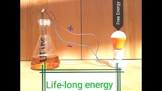 How to get lifelong free energy from URINE  Clean and sustainable energy High voltage [upl. by Odericus]