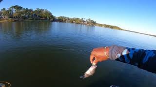 Fall Evening Crappie Fishing Lake Oconee [upl. by Pennie758]