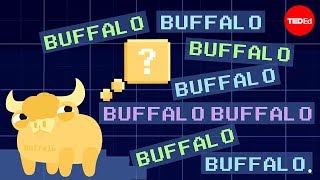 Buffalo buffalo buffalo Oneword sentences and how they work  Emma Bryce [upl. by Branden]