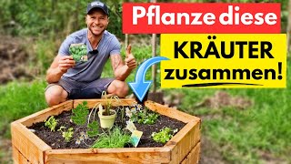 JEDER spricht darüber🌿So pflanzt du das ULTIMATIVE Kräuterbeet für Balkon amp Garten [upl. by Bohlin586]