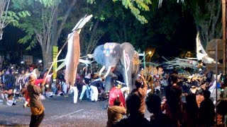 Juara Festival Takbir Jamasba Bantul 1436H 2015 [upl. by Atsylak]