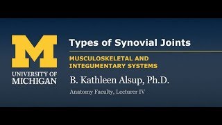 Joints Types of Synovial Joints [upl. by Barfuss]