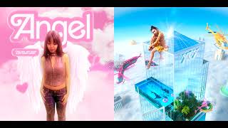 Angel x Taxi  PinkPantheress Charli XCX amp SOPHIE Mashup [upl. by Charleton]