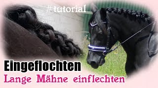 Eingeflochten  Spanische Einflechttechnik Turnierzöpfe für lange Mähne Tutorial [upl. by Merci]