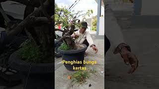 Penghias bunga kertas alamindonesia [upl. by Anayrb]