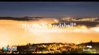 Norway in a nutshell® Winter Tour [upl. by Aihseym319]