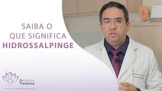 O QUE É HIDROSSALPINGE [upl. by Tammany]