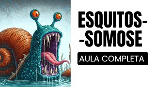 Tudo o que você precisa saber sobre a Esquistossomose Mansoni  Agente de Saúde e Agente de Endemias [upl. by Ahseeyt]