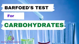 Barfoeds Test  General test for carbohydrates identification [upl. by Dias]