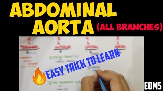 All Branches of Abdominal Aorta Easy Trick  Abdominal Aorta  MBBS [upl. by Yasnil]