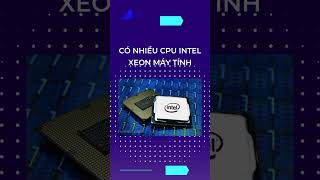 CPU Intel Xeon X5650  CPU00015 xuhuong review voibien [upl. by Ennylyak]