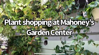 Plant Shopping at Mahoney’s Garden Center [upl. by Casta817]