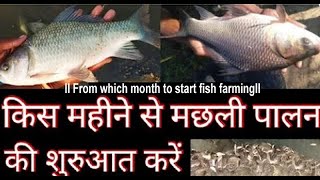 मछली पालन की शुरुआत कैसे करें  Machhali Palan Ka Tarika। Fish farming  Farming [upl. by Almat]