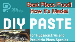 How to Make Pleco Ceramics Pleco Paste AquaMalik FishFood for ZebraPleco Hypancistrus Pleco [upl. by Devlin]