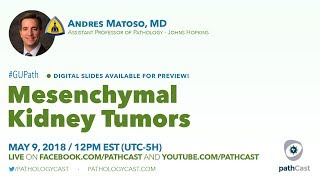 Mesenchymal kidney tumors  Dr Matoso Hopkins GUPATH [upl. by Aufa]