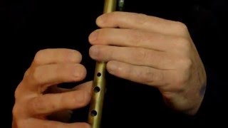 The Redhaired Lass Reel  Tin Whistle Lesson [upl. by Meridel]