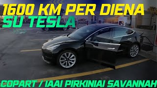 1600km SAVANNAH su TESLA Terminalas  COPART ir IAAI pirkiniai atvyke krovai [upl. by Darce846]