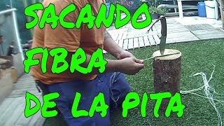 como sacar fibra de la pita para hacer cuerda [upl. by Sarazen]