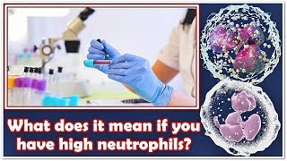 Neutrophils count High or Low Know the Reasons [upl. by Ahsiak]