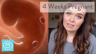 4 Weeks Pregnant What You Need To Know  Channel Mum [upl. by Lib]