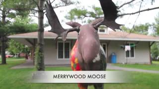 Camp Merrywood Tour [upl. by Oilalue]