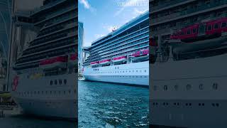 MAGNIFICENT CRUISE SHIP RESILIENT LADY IN SYDNEY HARBOUR 2024 [upl. by Anyahc]