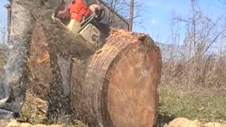 Woods Ported Stihl 044 Cutting A Big Pine Log [upl. by Shaikh]