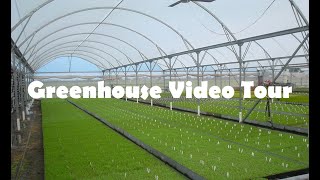 Redpath Greenhouse Video Tour [upl. by Auburn79]