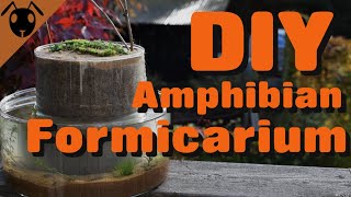 AMPHIBIAN Ant FORMICARIUM build Tutorial [upl. by Ainslee]