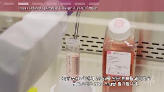 Plasmid DNA Transfection Protocol  한국어 [upl. by Acus]