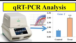 Analyzing real time PCR data [upl. by Niarb]