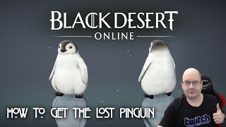 Black Desert Online  How to get the lost Pinguin [upl. by Hestia160]