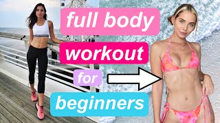 30 MIN FULL BODY WORKOUT for Beginners  No Equipment Needed [upl. by Nylcoj]