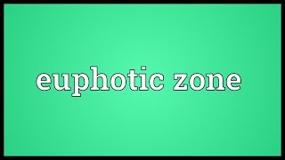 Euphotic zone Meaning [upl. by Towers]