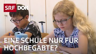 Talenta – Eine Schule für Hochbegabte  Förderung hochbegabter Kinder  Reportage  SRF [upl. by Bernetta]