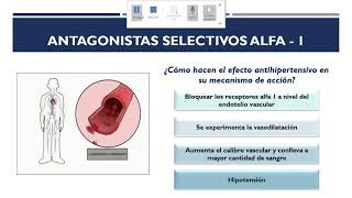 07  Farmacologia General  Unidad II Antagonistas Adrenergicos  Clase 7 [upl. by Wolpert]