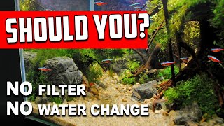 Why No Filter No Water Change Aquariums Are NOT For Everyone [upl. by Knowling252]