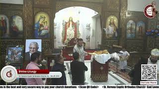 Divine Liturgy Saturday 11252023 [upl. by Ayota]