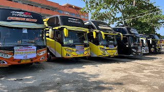 pantauan bus pariwisata paling update hari ini ‼️ [upl. by Drooff]