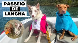 Primeiro passeio de lancha  o que fazer com cachorro em Capitólio  MG 🚤 [upl. by Edny4]