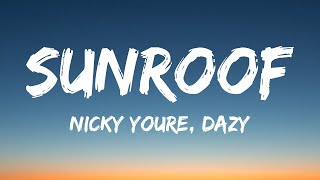 Nicky Youre dazy  Sunroof Lyrics [upl. by Ansilma926]