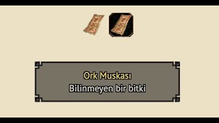 Metin2 Ork Muskası ve Ork Muskası Nereden Çıkar Hangi Slotlardan Düşer Metin2 [upl. by Weywadt]