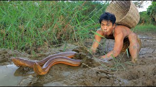 Dig the Mud for Cacth eels  cooking eels [upl. by Caroline]