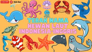 BELAJAR MENGENAL TEBAK NAMA HEWAN LAUT DALAM BAHASA INDONESIA DAN BAHASA INGGRIS  LEARNING ANIMALS [upl. by Ahsikrats176]