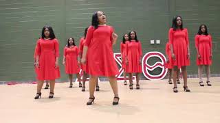 DELTA SIGMA THETA PROBATE 2018 [upl. by Ileray]