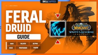 FERAL DRUID WOTLK GUIDE  Best Race Talents Glyphs Gear Professions amp Macros [upl. by Naasar]