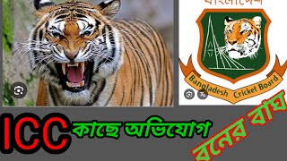 ICC কাছে অভিযোগ। বাংলাদেশের জার্সি থেকে আমার ছবি সরানোর জন্য। RX Alamin Vlogs [upl. by Aeirdna345]