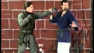 Navy SEAL Hand 2 Hand Combat Training [upl. by Eenrahc215]