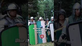 I had a blast bicolline bicolline1024 bicolline2024 larp renfaire fantasycore medieval [upl. by Cleodal508]