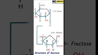 Biomolecules  Class 12  Part 2 shorts ytshorts viral disaccharides chemistry biomolecules [upl. by Lyrred675]